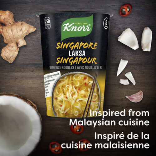 Knorr Rice Noodle Cup Singapore Laksa For A Light Soup Meal Ready In 5 Mins 70 g