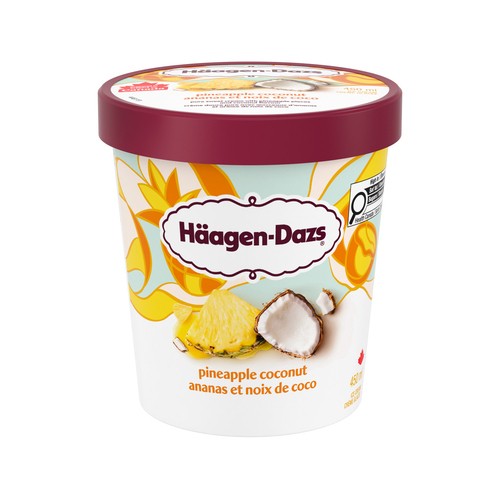 Haagen-Dazs Ice Cream Pineapple Coconut 450 ml