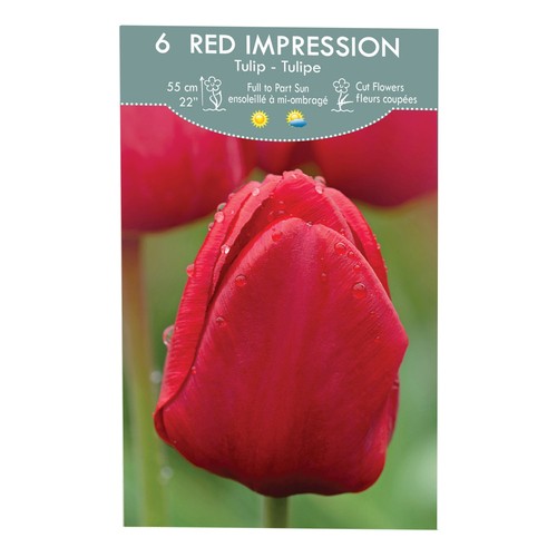 VPop Up Box Tulip Red Impression 