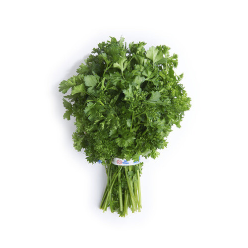 Parsley Curly 1 Bunch