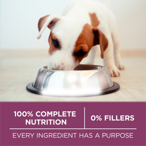 Purina ONE +Plus Dry Puppy Food Healthy Puppy Formula Lamb 1.81 kg