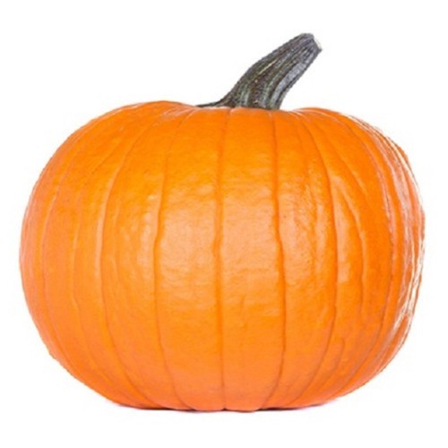 Pumpkin Regular 1 Count