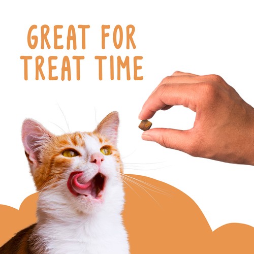Friskies Party Mix Cat Treats Gravy-licious Crunch Turkey and Gravy 170 g