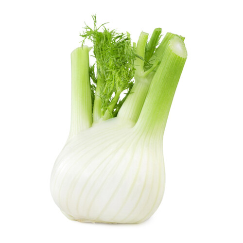 Mike & Mike's Organics Organic Fennel 1 Count