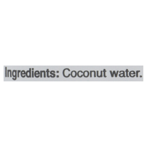 Thirsty Buddha Organic Coconut Water Classic 490 ml (can)