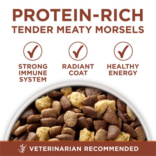 Purina ONE Dry Dog Food Healthy Weight Turkey 7 kg