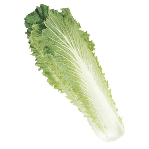 Chinese Lettuce 1 Count