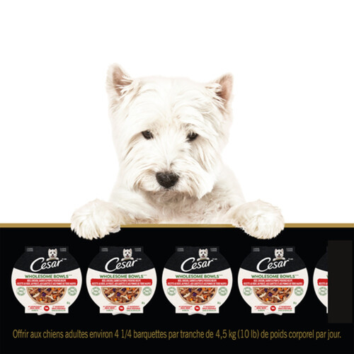 Cesar Wet Dog Food Adult Wholesome Bowls Beef Chicken Carrots & Purple