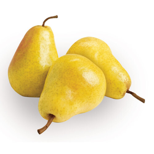 Bartlett Pear Large 3 Count