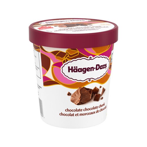 Haagen-Dazs Ice Cream Chocolate Chocolate Chunk 450 ml