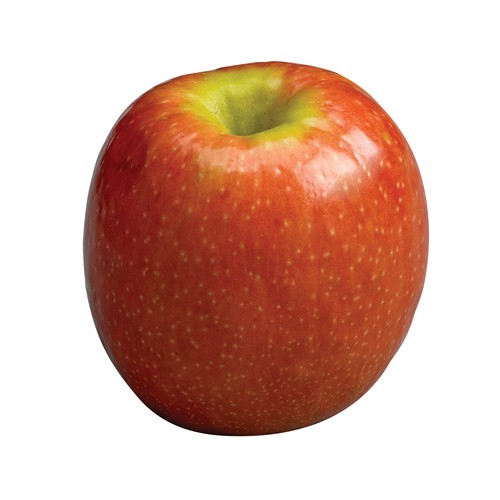 Pink Lady Apple Large 3 Count