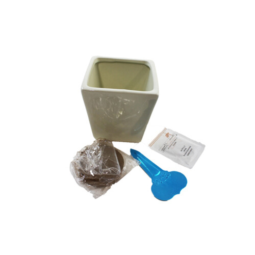 Sunflower Grow Kit With Ceramic Pot 1 EA