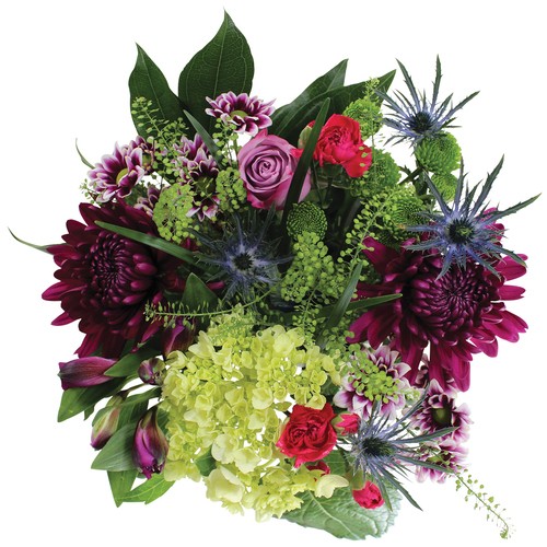 Micro Holiday 1 Bouquet 1 EA