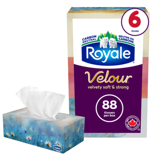 Royale Facial Tissues 3-Ply 6 Boxes x 88 Sheets