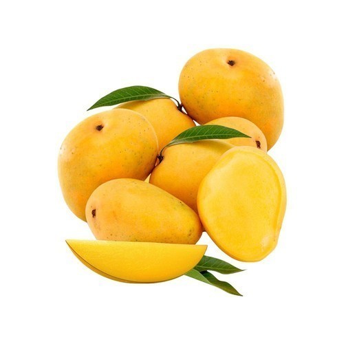 Alphonso Mango 6 Count 