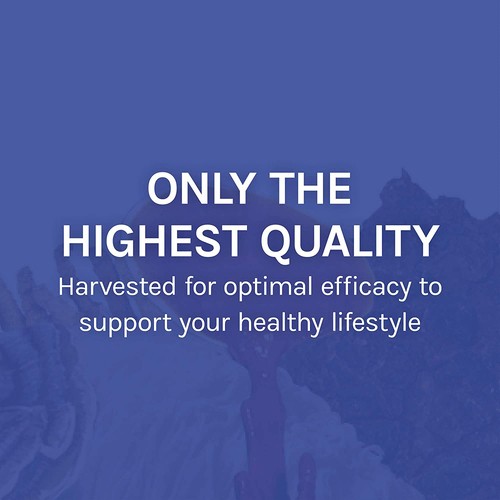 Host Defense Stamets7 Daily Immune Supplement 60 EA