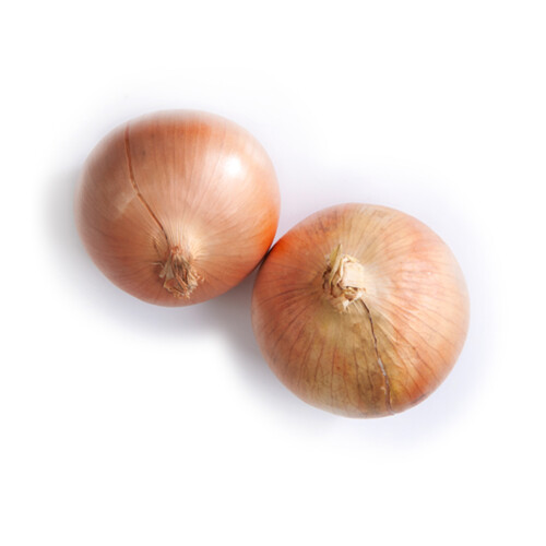 Spanish Onions Large 1 Count