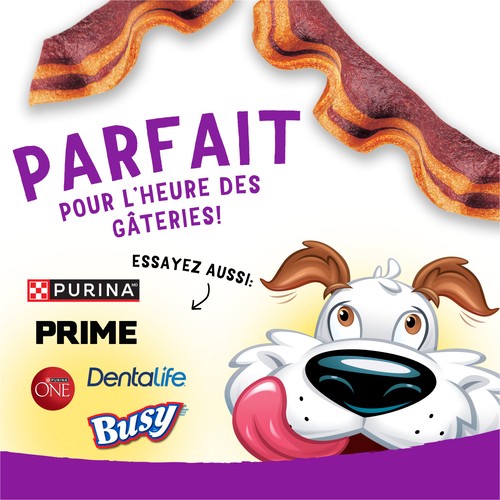 Purina Beggin' Gâteries pour chiens Saveur de fromage avec bacon 708 g