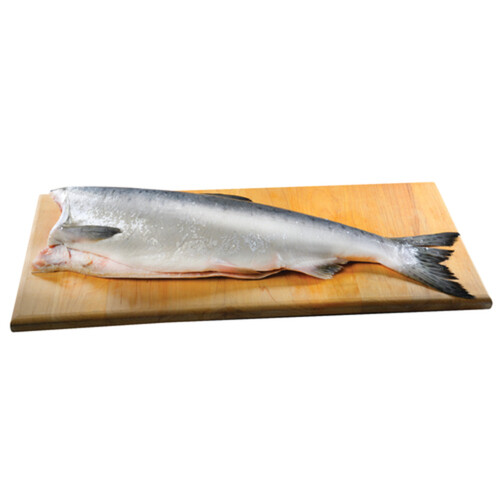 Fresh Whole Pacific Pink Salmon