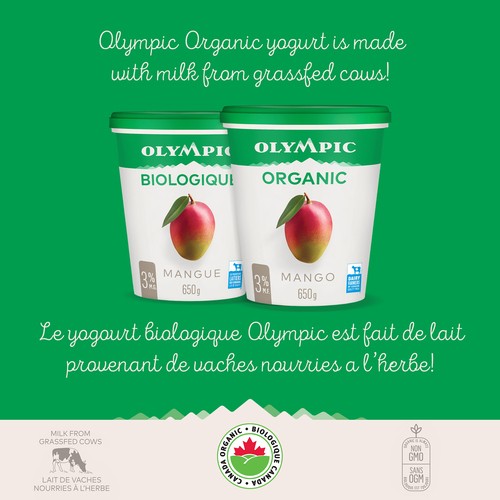 Olympic Organic 3% Yogurt Mango 650 g