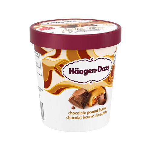 Haagen-Dazs Ice Cream Chocolate Peanut Butter 450 ml