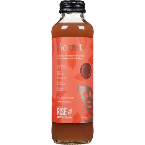 Rise Botanicals Organic Kombucha Boost 414 ml (bottle)