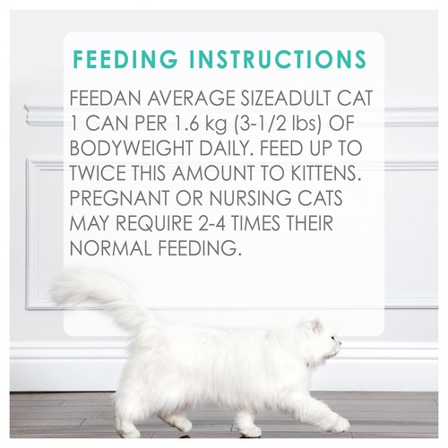 Fancy Feast Wet Cat Food Pate Tender Chicken & Liver Feast 85 g