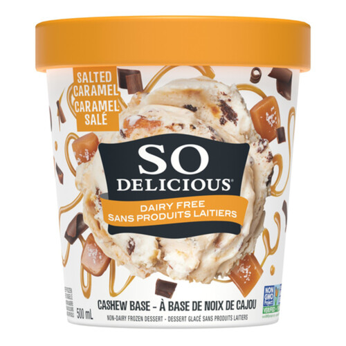 So Delicious Dairy-Free Cashew Based Frozen Dessert Salted Caramel Cluster 500 ml