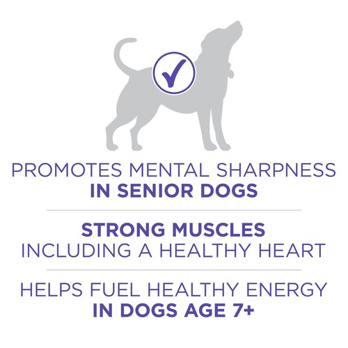 ONE Dry Dog Food SmartBlend Healthy Aging 7+ Formula Chicken 6 kg