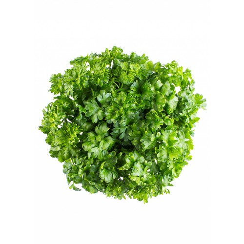 Curly Infarm Parsley