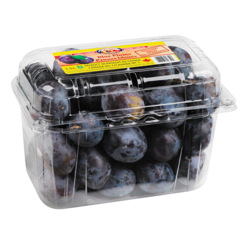 Blue Plums 1.5 L