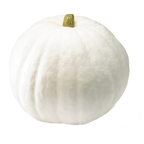 White Pumpkin 1 Count