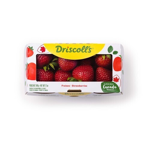 Strawberries Hot House 340 g