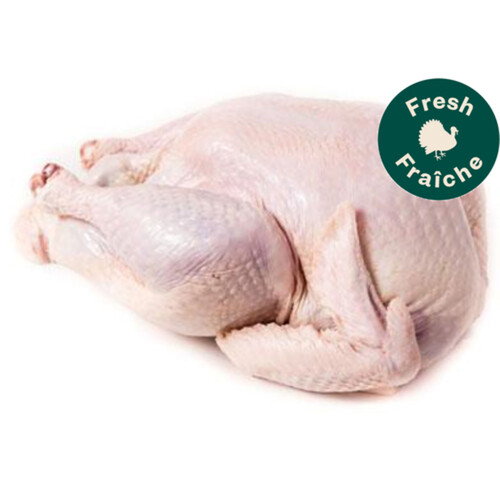 Fresh Turkey Grade A 