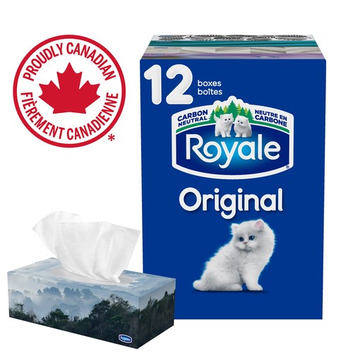 Royale Original Facial Tissue 2-Ply 12 Boxes x 100 Sheets