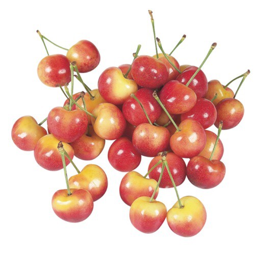 Golden Rainier Cherries 1 Bunch