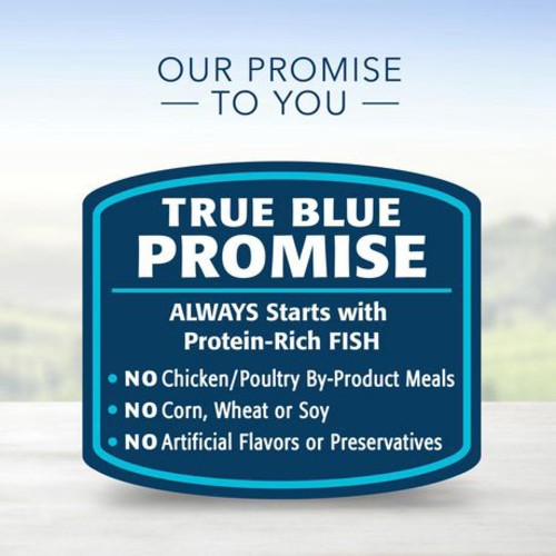 Blue Buffalo Cat Food Healthy Gourmet Paté Ocean Fish & Tuna Entrée 85 g