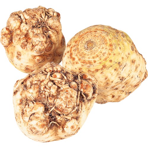 Celery Root 1 Count
