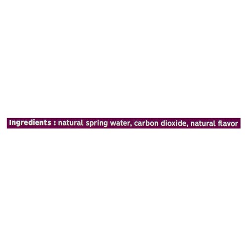 Onibi Carbonated Natural Spring Water Wild Berry 10 x 355 ml (cans)