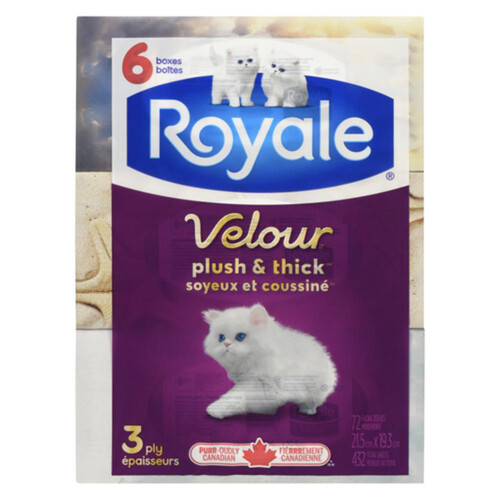 Royale Facial Tissue 3 Ply 6 Boxes