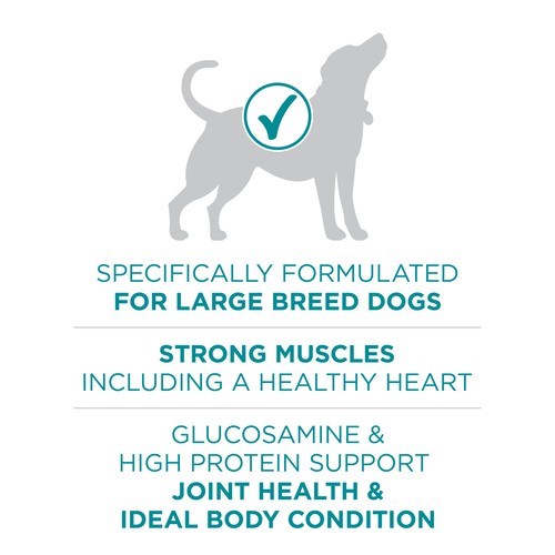 Purina ONE Dry Dog Food +Plus Large Breed Formula Chicken 7 kg