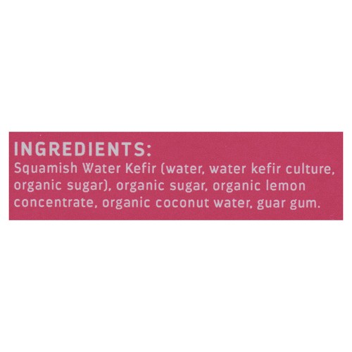 Squamish Water Kefir Frozen Plant Based Popsicle Lemonade 4 x 80 ml
