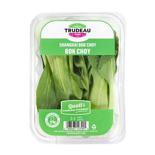 Trudeau Farms Mini Bok Choy 1 Pack