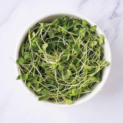 GoodLeaf Micro Arugula 50 g