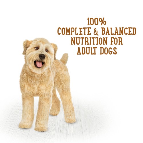 Beneful Prepared Meals Wet Dog Food Simmered Beef 283 g