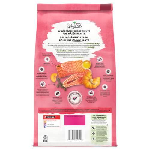 Beyond Dry Dog Food Wild Caught Salmon, Egg & Pumpkin Recipe 1.67 kg