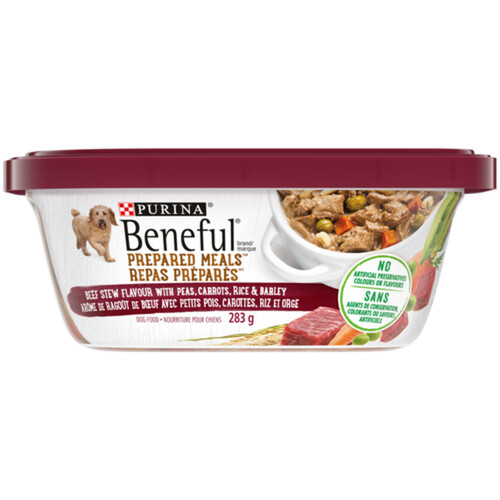 Beneful wet outlet dog food