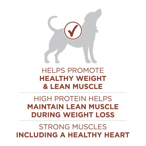 Purina ONE Dry Dog Food Healthy Weight Turkey 7 kg