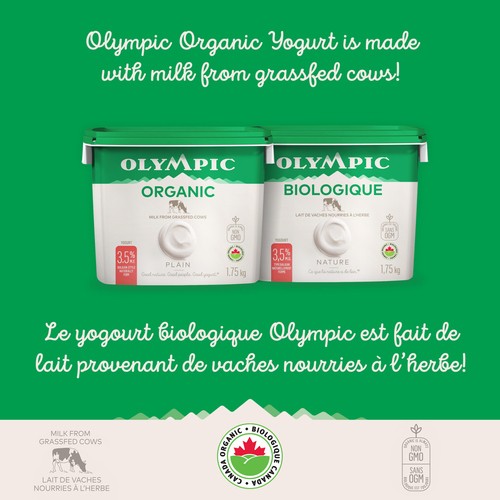 Olympic Organic 3.5% Yogurt Plain 1.75 kg