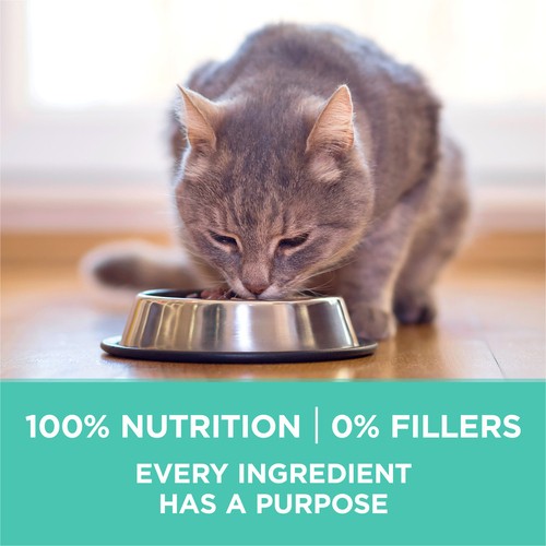 Purina ONE +Plus Dry Cat Food Sensitive Systems Turkey 3 kg